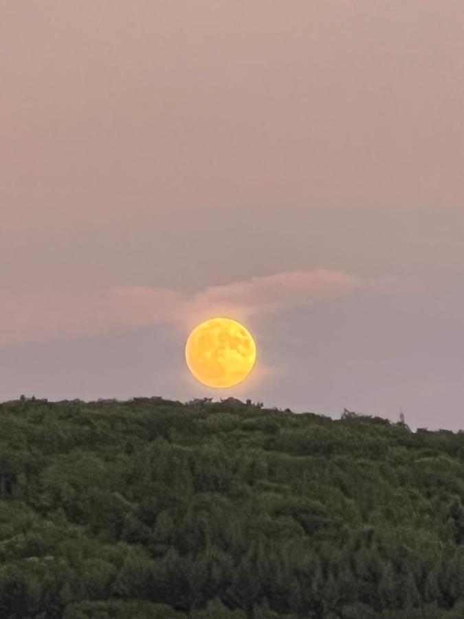 Les Granges De L'Eblouaz Bed & Breakfast Saint-Rambert-en-Bugey Bagian luar foto