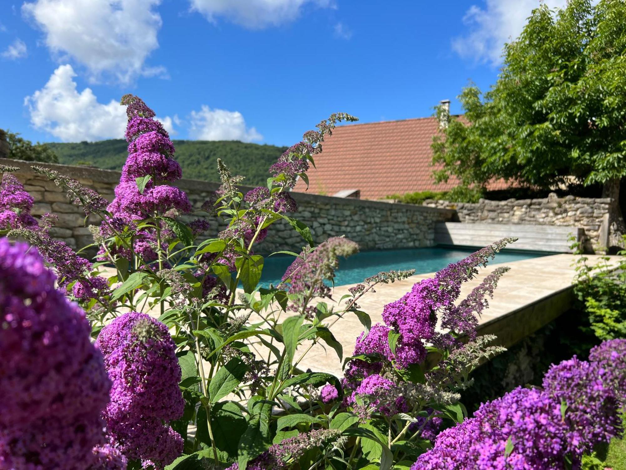 Les Granges De L'Eblouaz Bed & Breakfast Saint-Rambert-en-Bugey Bagian luar foto